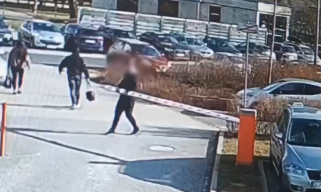 Pogromca szlabanów z Lubina zatrzymany. Grozi mu 7 lat więzienia [WIDEO] - Pogromca szlabanów z Lubina zatrzymany. Grozi mu 7 lat więzienia.