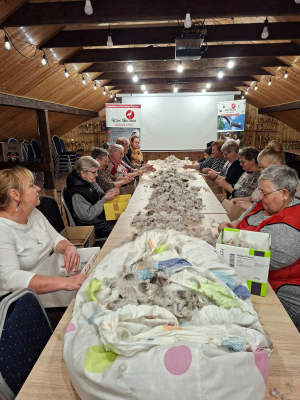 Cała wieś darła pierze na poduszki i kołdry. W Niedźwiedzicach to sposób na pożegnanie zimy - 0
