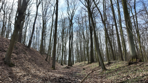 Archeologia na "najwyższym poziomie". Dronami nagrywają pozostałości po osadach sprzed 1000 lat - 10