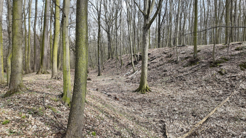 Archeologia na "najwyższym poziomie". Dronami nagrywają pozostałości po osadach sprzed 1000 lat - 11