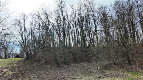 Archeologia na "najwyższym poziomie". Dronami nagrywają pozostałości po osadach sprzed 1000 lat - 5