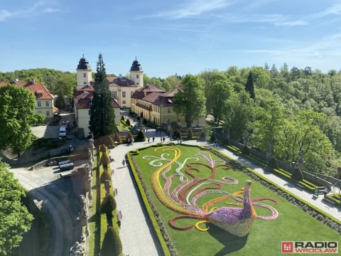 TAURON Festiwal Kwiatów i Sztuki w Zamku Książ startuje 30 kwietnia. Tegoroczne hasło to „Odyseja czasu” - 1