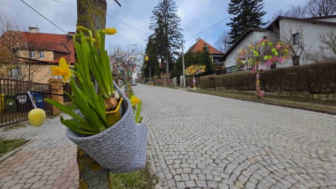 To jedyna taka aleja w Polsce! W Lądku-Zdroju na Wielkanoc udekorowali ponad 60 drzewek - 0