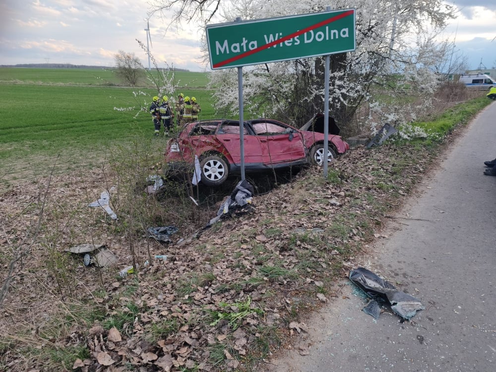 Śmiertelny wypadek pod Zgorzelcem. 17-latka zginęła, kierowca miał zakaz prowadzenia - 20-latek z sądowym zakazem za kierownicą. Śmiertelny wypadek pod Zgorzelcem