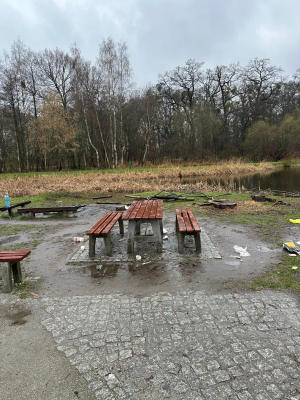 Śmieci walają się po wrocławskich parkach. Tak wyglądają po weekendzie grillowania. Zapomnieliśmy o zasadach? - 1