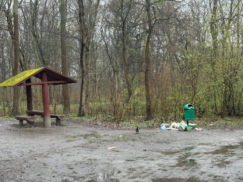 Śmieci walają się po wrocławskich parkach. Tak wyglądają po weekendzie grillowania. Zapomnieliśmy o zasadach? - 2