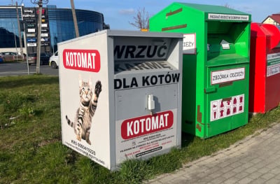 Kotomaty i sofy dla zwierząt. Tak na Dolnym Śląsku pomagają bezpańskim kotom