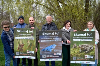 "Skumaj to!" - apelują do Wrocławian. Chodzi o ochronę płaz&oacute;w w mieście