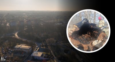 Drzewa w Głogowie na celowniku podpalacza. Wywierca otwory i podkłada ogień. Trwają poszukiwania sprawcy