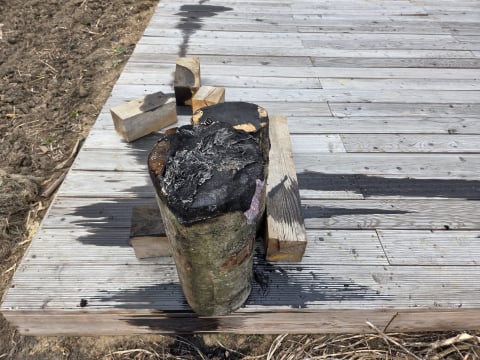 Kolejna próba podpalenia Rancza Kozanów. Monitoring uchwycił sprawcę - 4