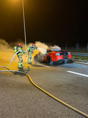 Sportowy samochód spłonął na trasie S3. Ogień objął cały pojazd [ZDJĘCIA] - 1