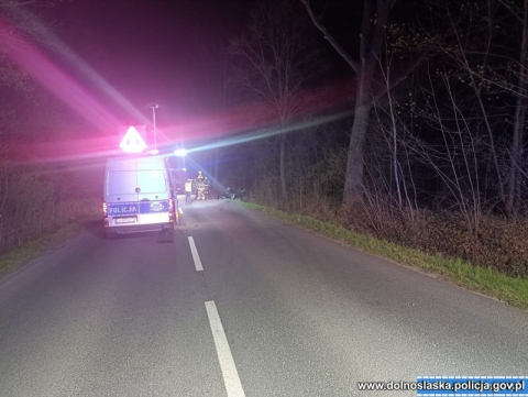 Tragiczny wypadek na Dolnym Śląsku. Nie żyje dwóch młodych kierowców [ZDJĘCIA] - 1