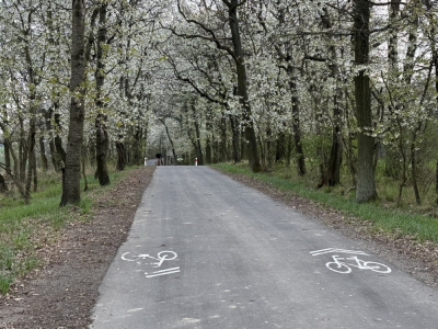 Nowa cyklostrada na Dolnym Śląsku. Kosztowała 9 milion&oacute;w złotych