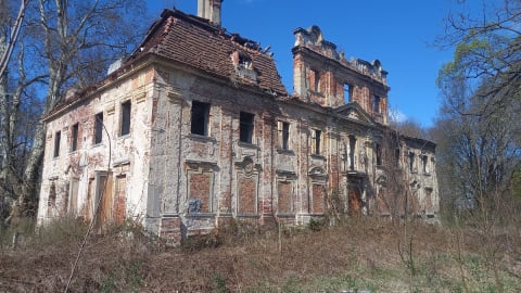 Sypiące się mury i ambitne plany. Pałac w Parchowie czeka na odbudowę - 3