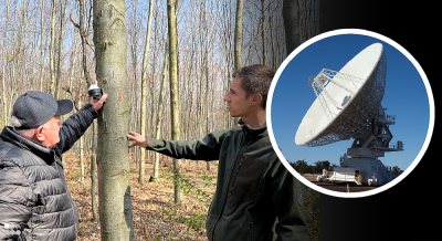 Specjalne sensory w dolnośląskim lesie. Koło Strzelina drzewa rosną pod okiem satelity