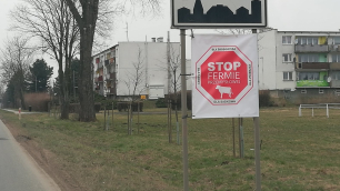 Miała być ferma, protest mieszkańc&oacute;w zablokował inwestycję. Jest ostateczna decyzja