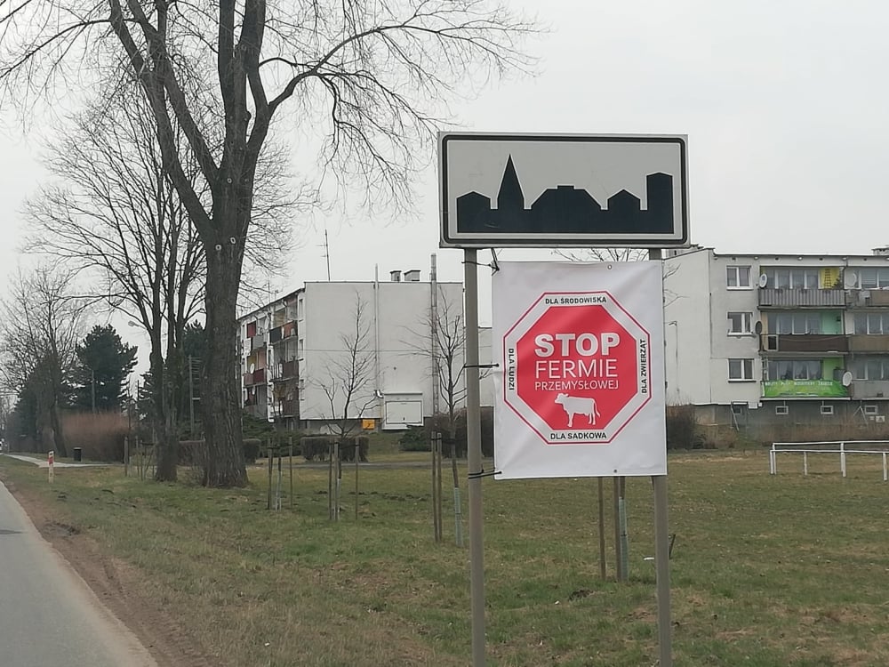 Sadków: Miała być ferma na tysiąc krów, protest mieszkańców zablokował inwestycję. Jest ostateczna decyzja - Wielka ferma krów w Sadkowie nie powstanie. Jest wyrok NSA