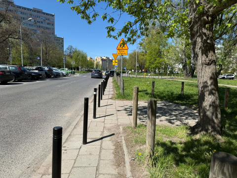Kiedy jeden rząd słupków to za mało. Nietypowy widok na wrocławskiej ulicy - 0