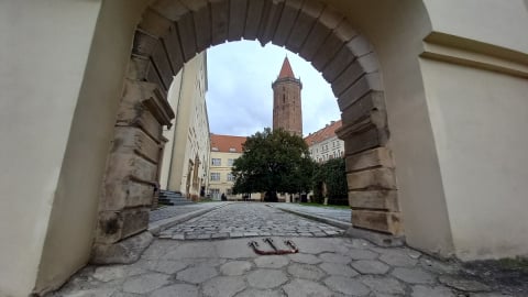 Zamek Piastowski znów otwarty! Przewodnicy będą oprowadzać... za darmo - 0