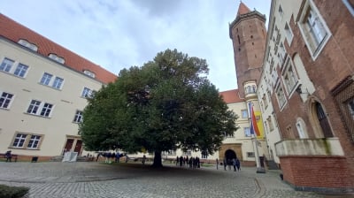Zamek Piastowski zn&oacute;w otwarty! Przewodnicy będą oprowadzać... za darmo