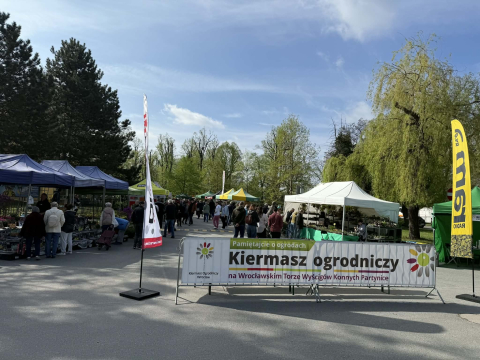 Partynice nie do poznania. Drzewa i kwiaty na każdym kroku - 0