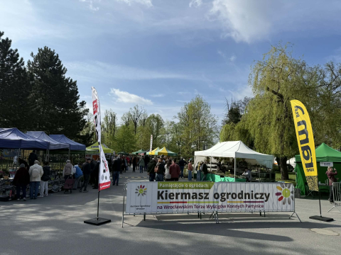 Partynice nie do poznania. Drzewa i kwiaty na każdym kroku - 3