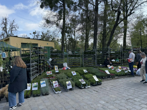 Partynice nie do poznania. Drzewa i kwiaty na każdym kroku - 5