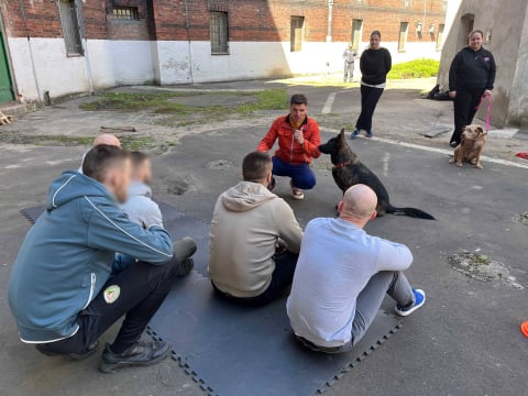Ten program okazał się hitem wśród osadzonych. We wrocławskim areszcie ćwiczą z... psami - 0