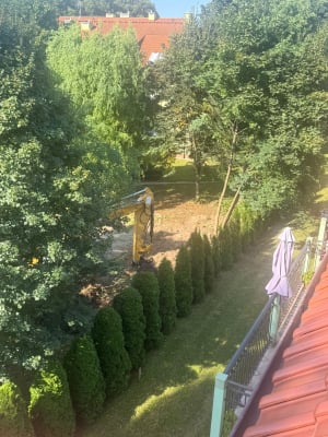 Były drzewa, teraz powstaje tam parking. Mieszkańcy: "To samowola". Miasto potwierdza - 1