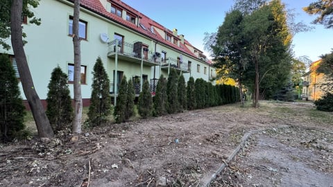 Były drzewa, teraz powstaje tam parking. Mieszkańcy: "To samowola". Miasto potwierdza - 3