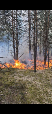 Płonie las na Dolnym Śląsku. W akcji gaśniczej wojsko, samoloty i śmigłowiec - 1