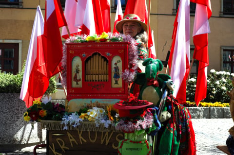 Katarynki znów grają w Jeleniej Górze. Ten festiwal przyciąga tłumy. "Katarynka jest prekursorem komputera" - 4