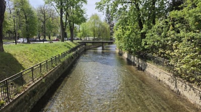 Młyn&oacute;wką w końcu popłynęła woda. Samorządowcy dosłownie wzięli sprawy w swoje ręce