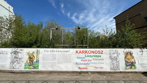 Chcą zbudować amfiteatr w centrum Jeleniej Góry. Obecnie to miejsce straszy - 10