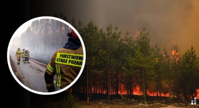 Dolnośląscy strażacy wyjadą do pożaru w Puszczy Solskiej.  "Wysyłamy 28 ratownik&oacute;w"