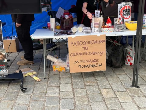 Manifestacja na ulicach Wrocławia. Protestujący stanęli w obronie zwierząt - 1