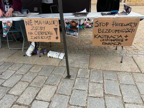 Manifestacja na ulicach Wrocławia. Protestujący stanęli w obronie zwierząt - 2