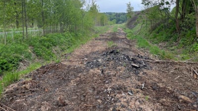 Za miliony złotych zbudują trasę dla rower&oacute;w. Połączy trzy dolnośląskie gminy