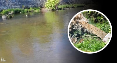 Kamienna zn&oacute;w brudna i śmierdząca. Do g&oacute;rskiej rzeki popłynęły ścieki