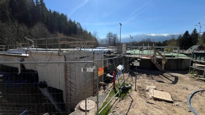 Kamienna znów brudna i śmierdząca. Do górskiej rzeki popłynęły ścieki - 2