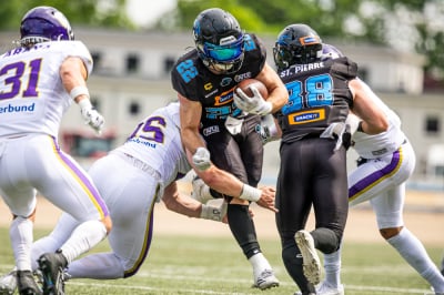 Panthers musieli uznać wyższość Vienna Vikings