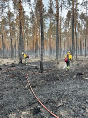 Dolnośląscy strażacy wracają z powiatu wołomińskiego. Pomagali gasić ogromny pożar lasu [ZDJĘCIA] - 6