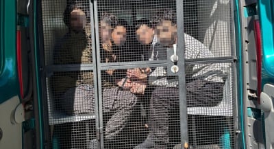 "Turyści" z Ameryki Południowej zatrzymani. Nielegalnie pracowali na plantacji owoc&oacute;w