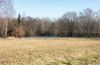 Wpływ nowych Plan&oacute;w Og&oacute;lnych na wycenę działki i nieruchomości