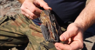 Niezwykłe odkrycie w powiecie lubańskim. Może mieć nawet 25 milion&oacute;w lat