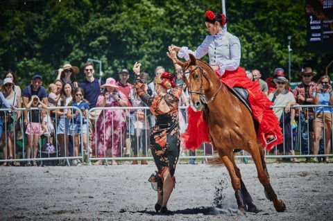 Nagroda Konstelacji dla faworytki, dreszczowiec we Wrocławska Trial  - 4