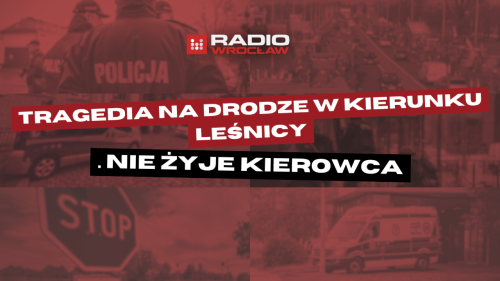 Śmiertelny wypadek na ul. Średzkiej we Wrocławiu. Auto wypadło z jezdni i uderzyło w drzewo - Tragiczny wypadek we Wrocławiu