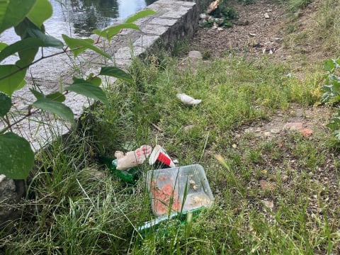 Bystrzyca 2 lata po powodzi jest kompletnie zarośnięta. Trwa udrożnianie, ale efekty dopiero w październiku - 10