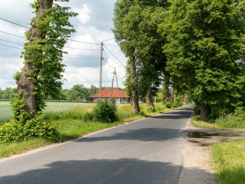 Oto najpiękniejsza wieś na Dolnym Śląsku. Jest położona niecałe 50 km od Wrocławia [ZDJĘCIA] - 5