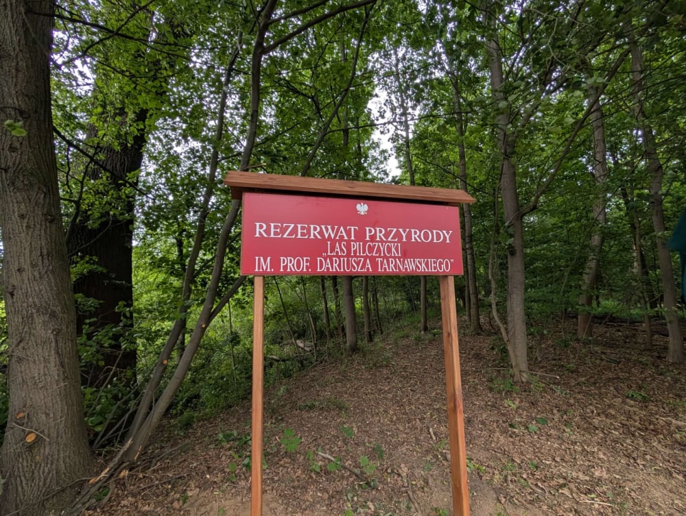 To pierwszy rezerwat przyrody we Wrocławiu. Byliśmy w Lesie Pilczyckim